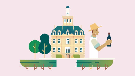 Le vignoble de Larose Trintaudon 