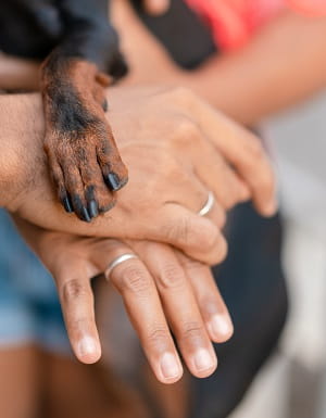 hand and dog paw