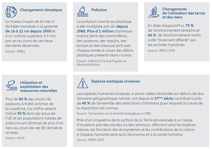 Perte biodiversite chiffres