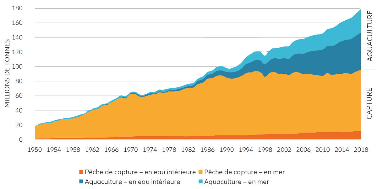 La pisciculture pour combler les lacunes de la pêche industrielle - chart