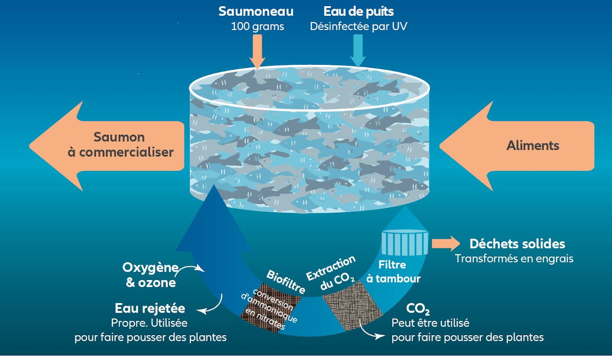 infographie de l'eau