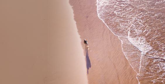 Essor de l'économie des animaux de compagnie