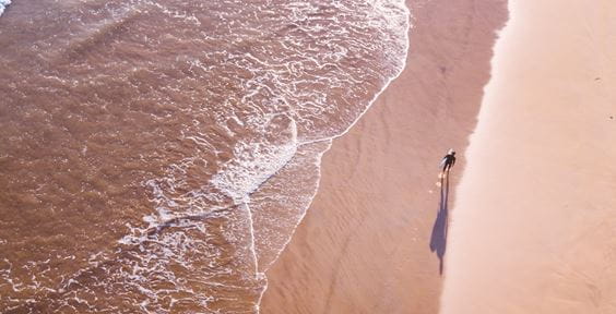 Essor de l'économie des animaux de compagnie