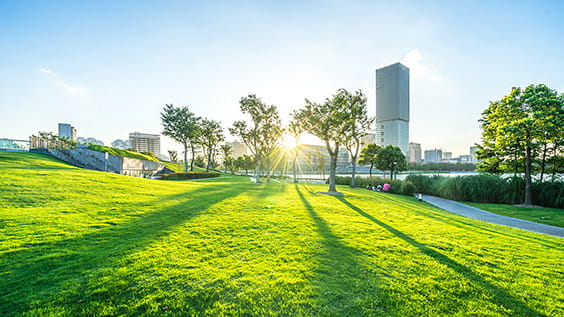  Parc ensoleillé dans la ville avec immeubles au loin - Stratégie Allianz Global Intelligent Cities