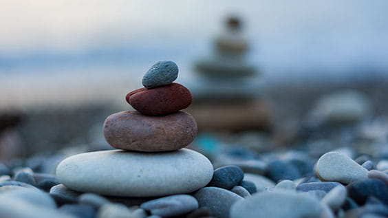 Résilience des revenus